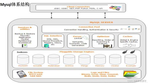 數(shù)據(jù)庫(kù)技術(shù)入門 基礎(chǔ)、MySQL架構(gòu)、SQL分類、使用與存儲(chǔ)引擎全解析